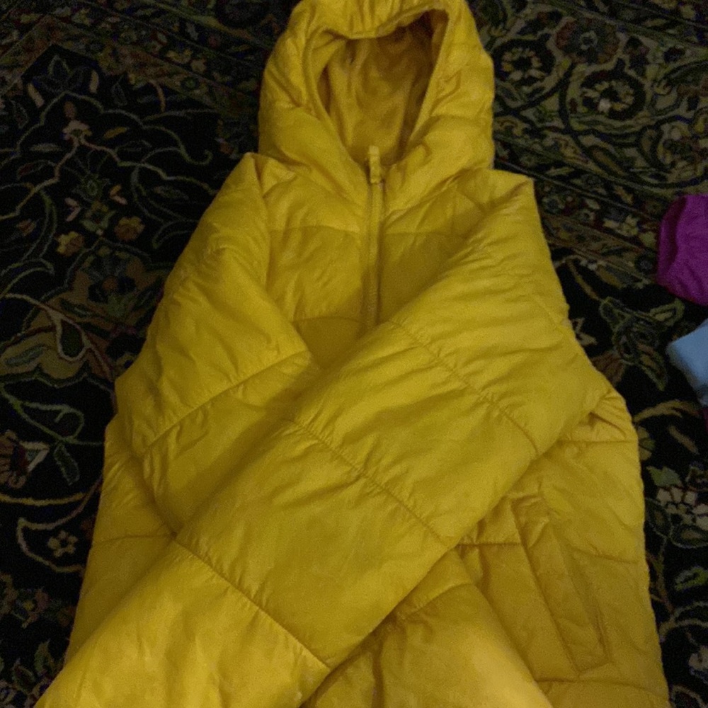 Yellow jacket - Picture 2 of 3
